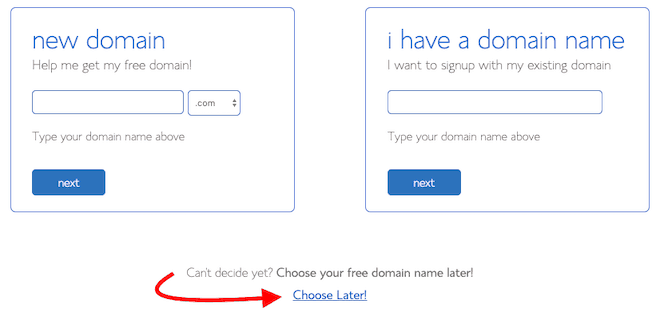 Bluehost domain name selection